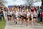 Womens 6 stage relay, Enlgish National 12 and 6 Stage Road Relays. Photo: David T. Hewitson/Sports for All Pics